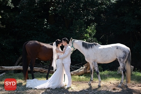 Best Pre Wedding Photography Sydney