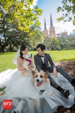 Best Pre Wedding Photography Sydney | Pre Wedding Photoshoot Sydney